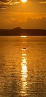 Golden sunset over a lake with swan silhouette.