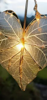 Golden leaf heart design glowing with sunlight.