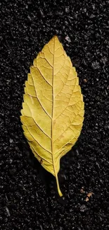 Golden leaf on a textured dark background, perfect for autumn-inspired mobile wallpaper.