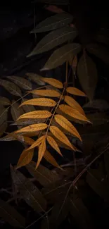 Golden leaves on dark background mobile wallpaper.