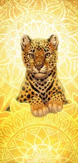 Leopard resting on golden mandala design.