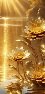 Golden lotus flowers on shimmering water under sunlight rays.
