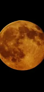 Golden full moon against dark sky background.