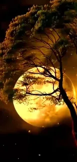 Golden moonlit tree against a dark sky background.