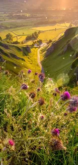 Scenic view of a green valley with flowers at sunset.