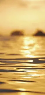 Golden sunset over a tranquil ocean with warm, reflective water.