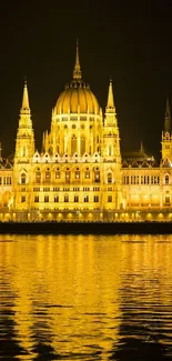 Golden palace reflecting on water at night.