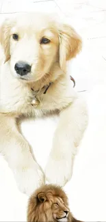 Golden retriever puppy with a lion on a bright background.