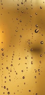 Golden water droplets on glass with abstract blurred background.