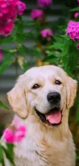 Golden retriever with pink flowers in a garden setting.