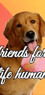 Golden Retriever with Friends for Life text on vibrant background.