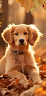 Golden retriever puppy amidst autumn leaves in cozy forest.