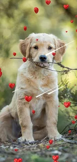 Golden retriever puppy with stick in forest setting.