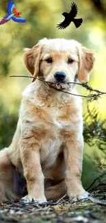 Golden Retriever puppy holds a stick in a green natural setting with birds overhead.