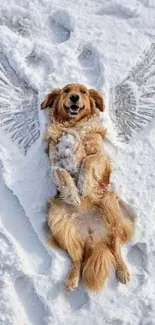 Golden retriever making a snow angel in fresh snow.