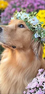 Golden retriever with flower crown and butterfly on nose.