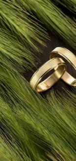 Gold rings on vibrant green grass wallpaper.