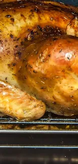 Golden roast turkey on a baking rack with crispy skin.