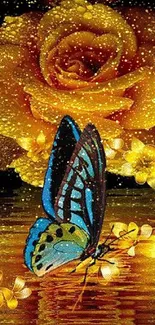 Golden rose and blue butterfly with sparkling dew on a serene black background.