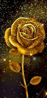 Golden rose with galaxy stars wallpaper.