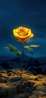 A glowing golden rose under a dark blue moonlit sky, perfect for a mobile wallpaper.