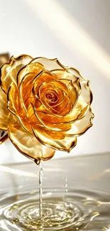 Elegant golden rose reflecting in shimmering water art.
