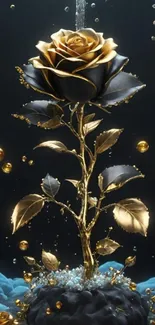 Luxurious golden rose mobile wallpaper.