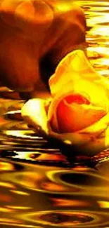 Golden rose on shimmering water wallpaper.