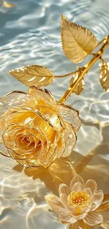 Golden rose floating in serene water with elegant reflections.