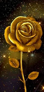 Golden rose on a starry black background wallpaper.