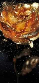 Golden rose with sparkling petals on a dark background.