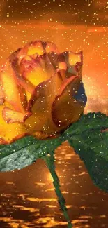 Golden orange sunset with rose reflecting on water.