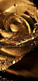 Mobile wallpaper of a golden rose with water droplets.