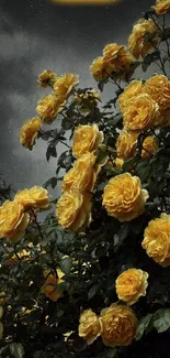 Mobile wallpaper with yellow roses under a starry night sky.
