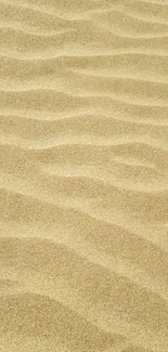 Golden sand dunes with gentle waves and natural texture for mobile wallpaper.