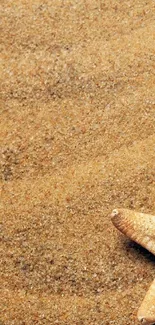 Starfish on golden sand beach with serene vibes.