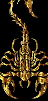 Elegant golden scorpion on black background.