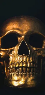 Golden skull on dark background mobile wallpaper.