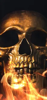 Golden skull with dark background for mobile wallpaper.