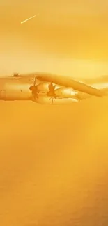 Airplane in a serene golden sky with sunset backdrop.