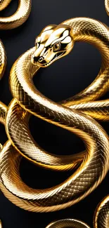 Luxurious golden snake with shiny scales on a dark backdrop.