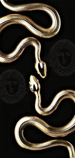 Golden snakes on black background, luxury phone wallpaper.