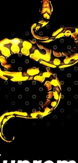 Vibrant golden snake on black background with Supreme logo.