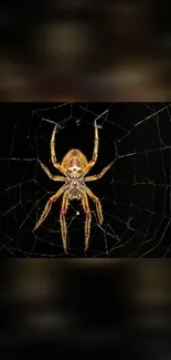 Golden spider on intricate black web pattern wallpaper.