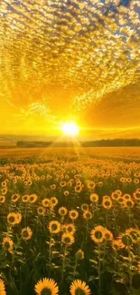 Golden sunset over a sunflower field with vibrant skies.