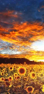 Sunflower field at sunset with a vibrant orange sky.