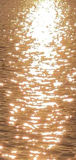 Golden sunlight reflecting on tranquil water surface wallpaper.