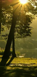 Golden sunlight filtering through trees by a tranquil lakeside.