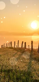 Golden sunrise over lush green field with fence.