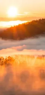 Golden sunrise over misty hills with a tranquil morning view.